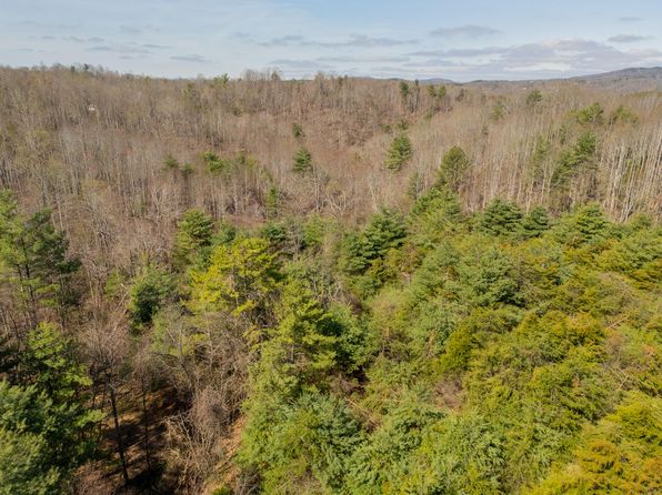 0 Lick Ridge Rd NE #0, Check, VA 24072