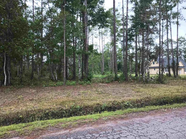 10035 Amos Ave, Hastings, FL 32145