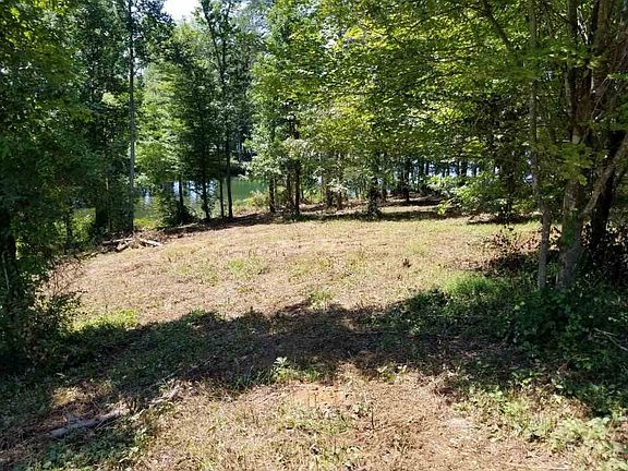 4th image of 251 Spring Crossing Dr Lot 20