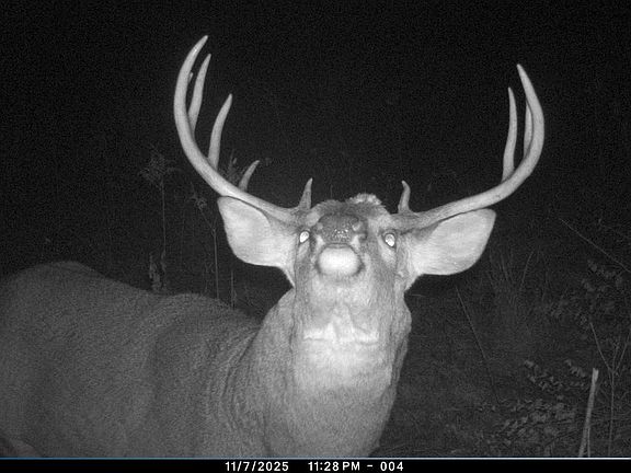 3rd image of W16091 Dewey ROAD