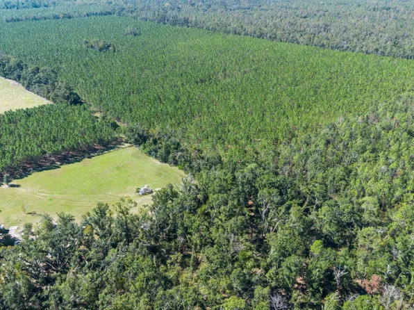 6 221st Rd, Live Oak, FL 32060