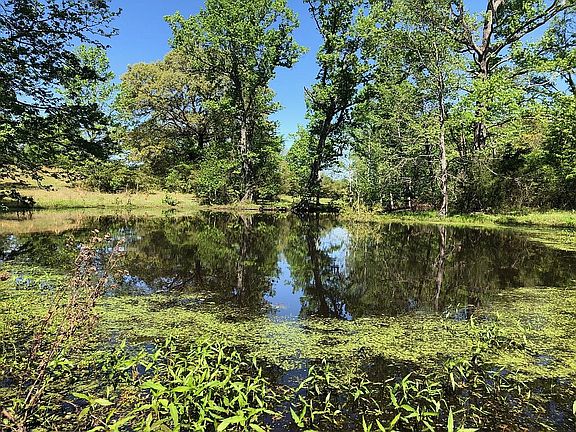Fresh Water Pond
