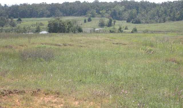 1st image of E1380 Road Lot Unplatted