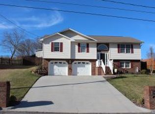 216 Mountain View Dr, Mt Carmel, TN 37645