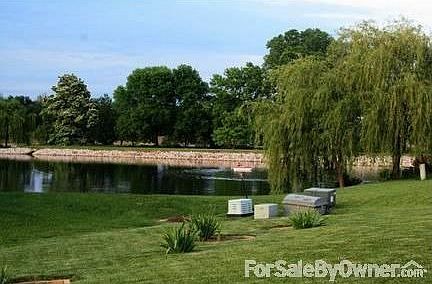 Lake view : A view from the back yard to a fully accessible lake.