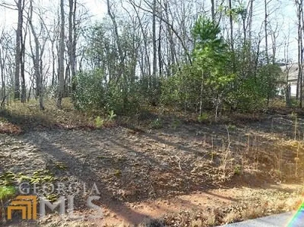 Pippin Cir, Clarkesville, GA 30523