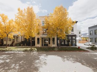 902 S Main St, Buena Vista, CO 81211