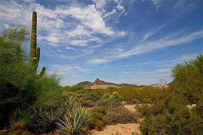 1st image of 11062 E Desert Troon Ln