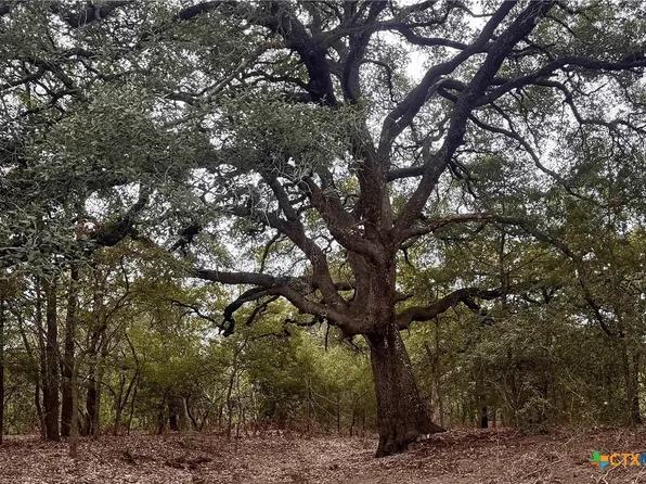 Mount Pleasant Rd, Cedar Creek, TX 78612