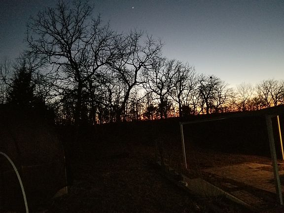 Back Tree Line at Dusk