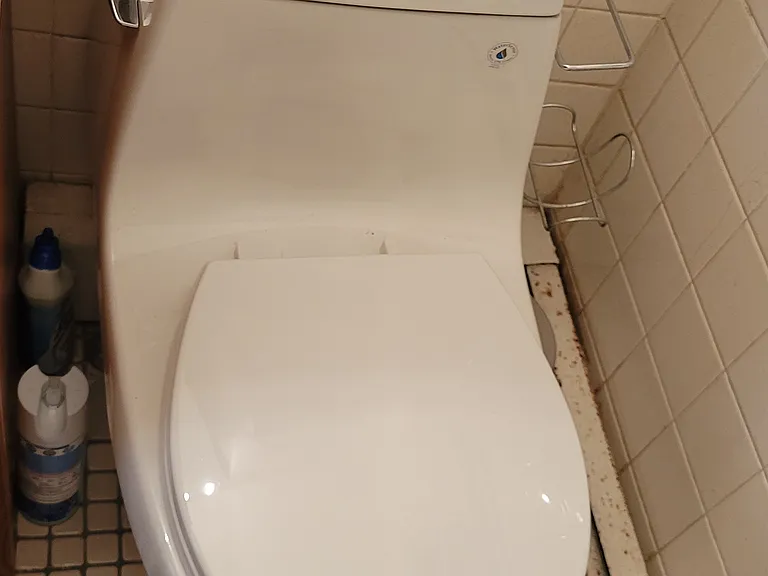 87 Fair St #1 — Photo 35