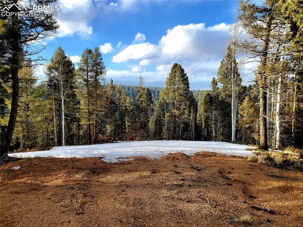 124 Kathleen Way, Florissant, CO 80816