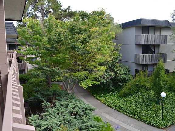 5th image of 6333 Shelter Creek Ln