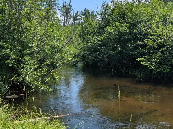 4792 N M 37, Baldwin, MI 49304