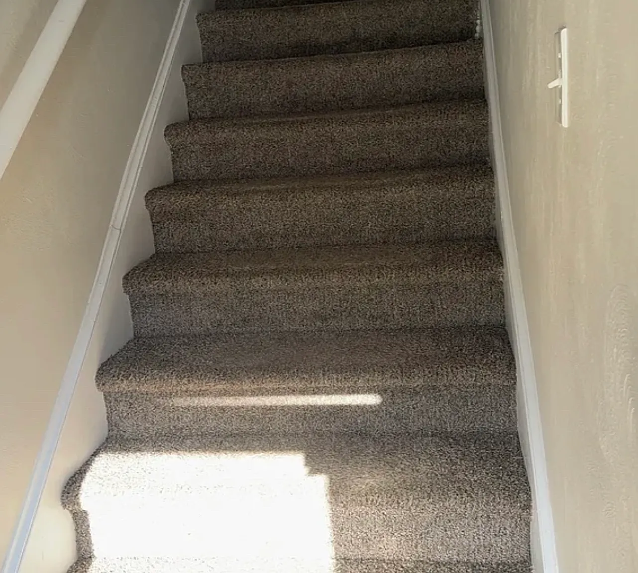 2 bed, 800 sqft, $1,200 — Photo 3
