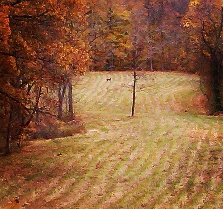 1st image of 395 Richardson Hill Rd