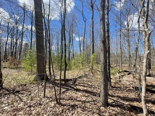 0 Pederson Road, Hayward, WI 54843