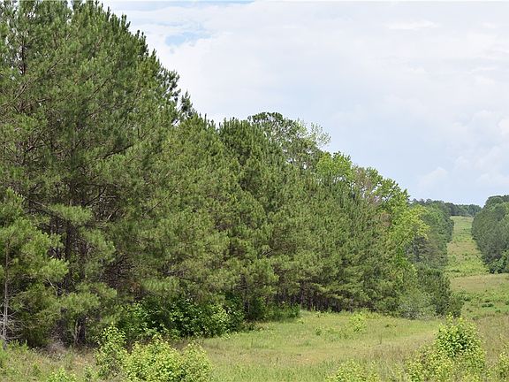 2nd image of 0 Lee Road 757