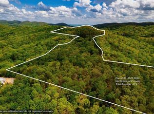 43.91 Old Burnt Mountain Rd, Ellijay, GA 30536
