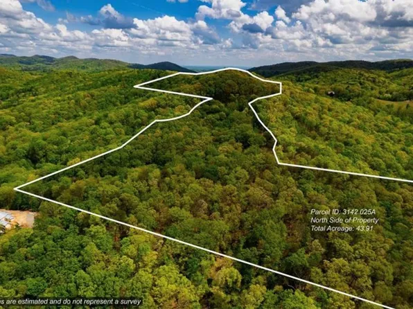 43.91 Old Burnt Mountain Rd, Ellijay, GA 30536