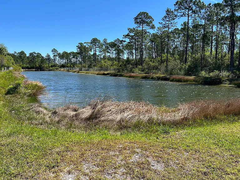 One of the 2 Ponds behind the forest at Manchester subdivision