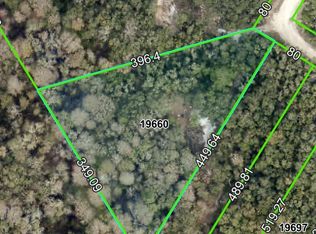 Medicine Stone Dr LOT 9, Webster, FL 33597