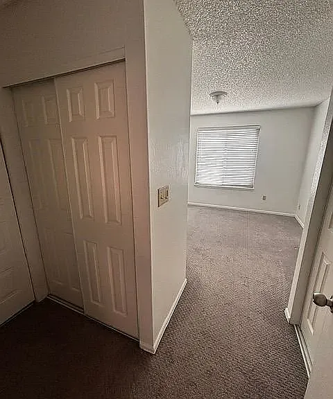 1184 Lily Ct — Photo 10