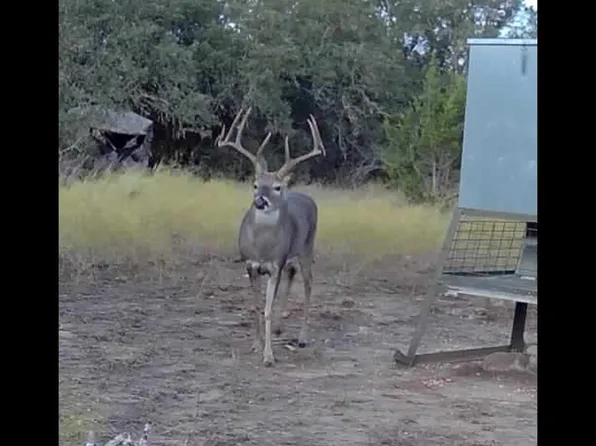 838 FM 573 S, Goldthwaite, TX 76864