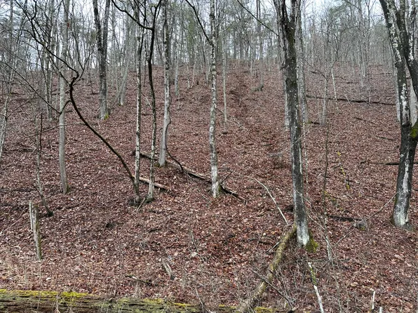 Highland Trl, Alderson, WV 24910