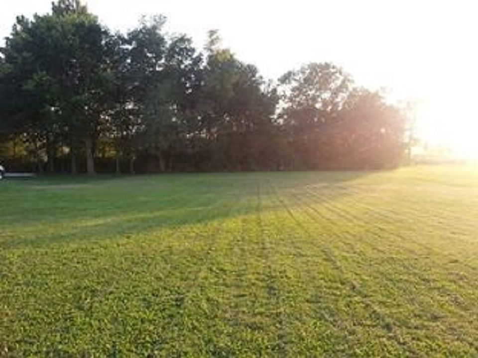 2nd image of Eagle Ct