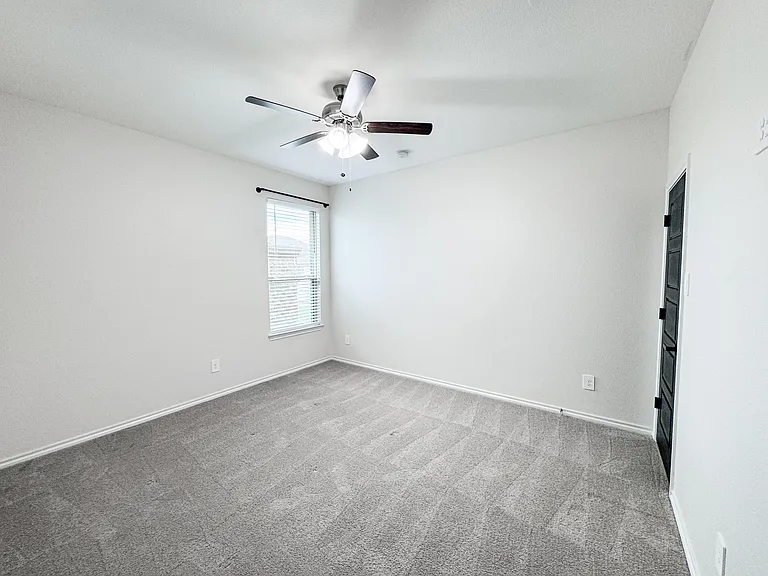 3227 Shortgrass Ln — Photo 13