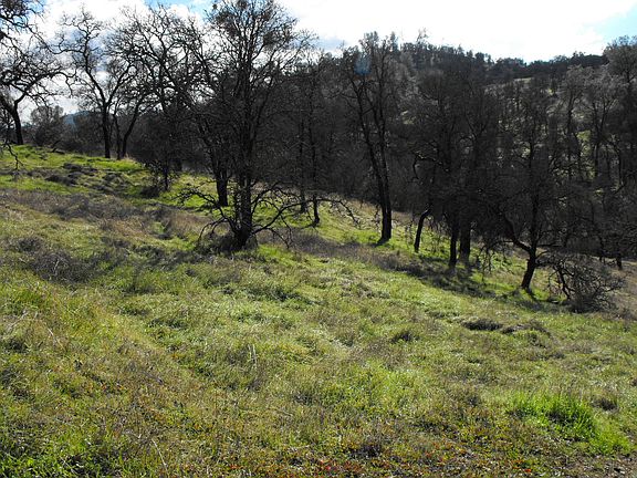 5th image of 10419 Lozano Rd