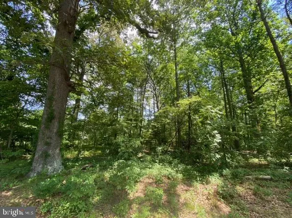 0 Deep Branch Rd #315, Georgetown, DE 19947