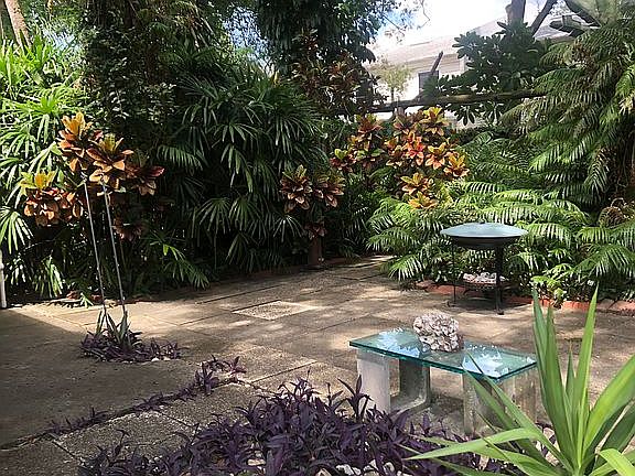 Back yard