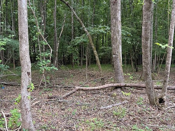 4th image of 1270 Cunningham Rd