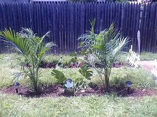 Landscape Backyard A