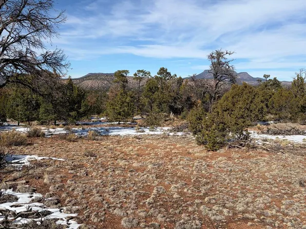 63 Horse Peak Trl, Datil, NM 87821