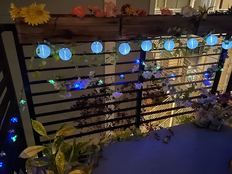 Private Balcony