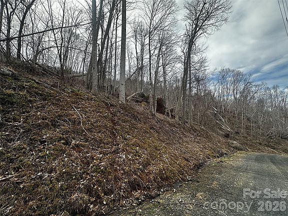 2nd image of 0 Bear Ridge Rd