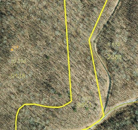 2nd image of 1568 Elk Wallow
