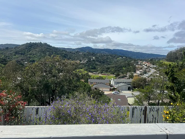 1776 Parrott Dr — Photo 15