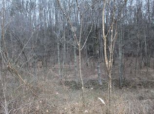 70 Echo Webb Rd, Upperglade, WV 26266