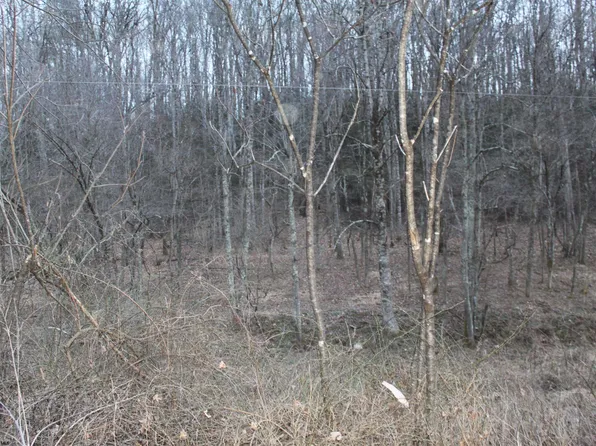 70 Echo Webb Rd, Upperglade, WV 26266