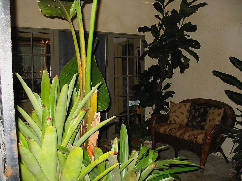 Entrance Patio Area