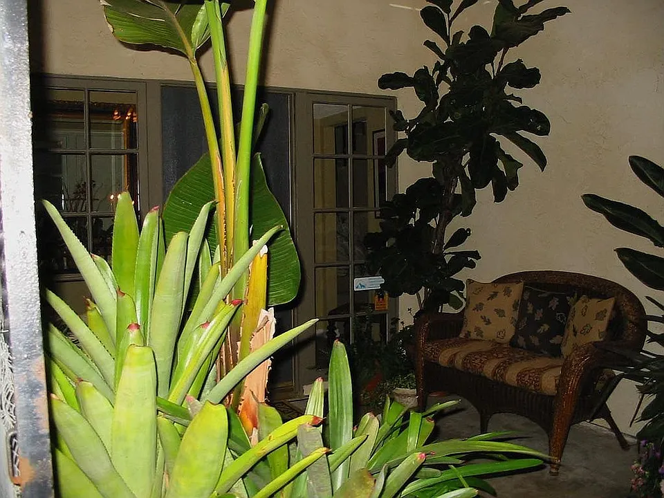 Entrance Patio Area