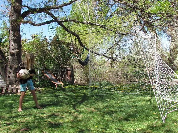 Early Spring along canal