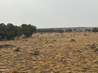 365 Arizona Park Ests #III, Saint Johns, AZ 85936