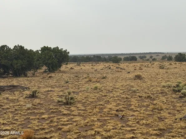 Lot 365 ARIZONA PARK ESTATES UNIT III -- #365, St Johns, AZ 85936