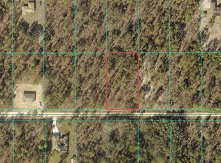 SW 89th Street 1/2 LOT 3-E, Dunnellon, FL 34432