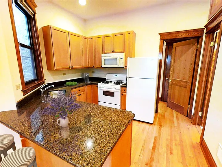 1139 W Webster Ave #3F — Photo 2